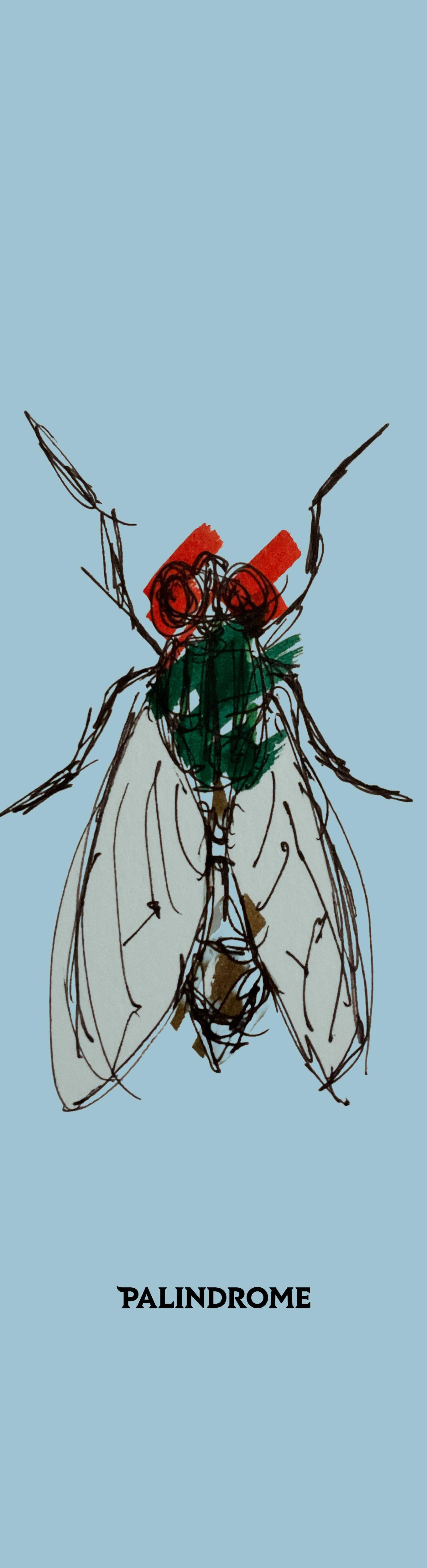 Twin Shape Deck - Metamorphosis