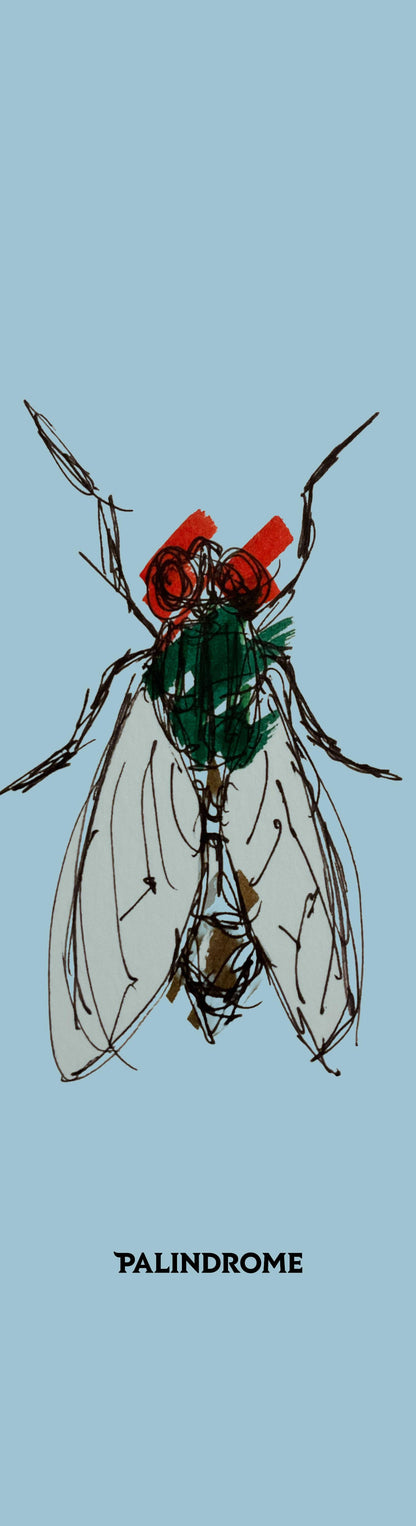 Twin Shape Deck - Metamorphosis