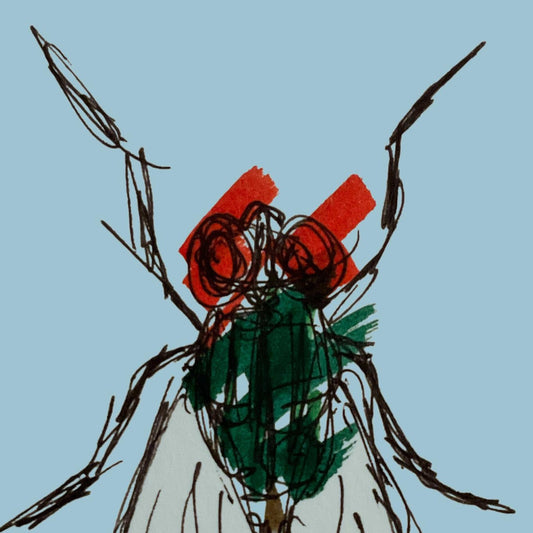 Twin Shape Deck - Metamorphosis